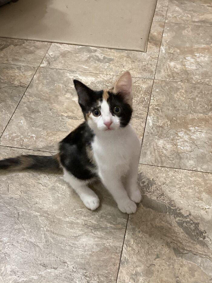 My Sweet Baby, Pixie