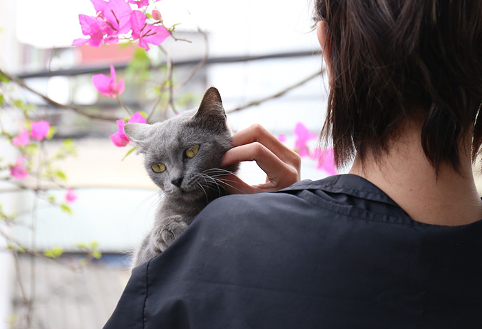 Aunt Tells 9-Year-Old She Deserves To Be Scratched For The Way She Treated Her Pet