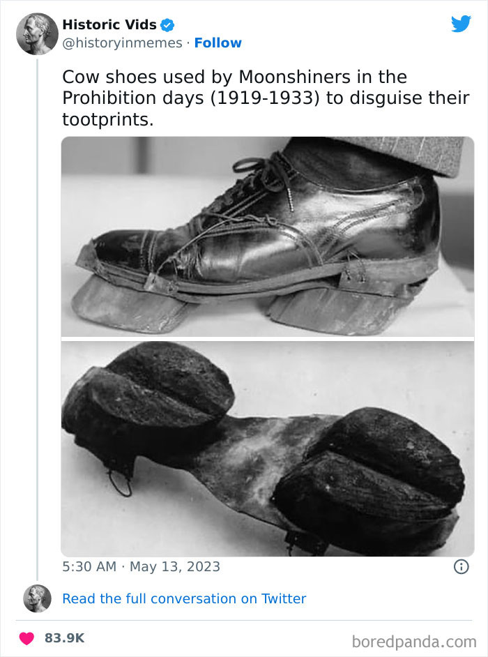 Interesting-History-Pics