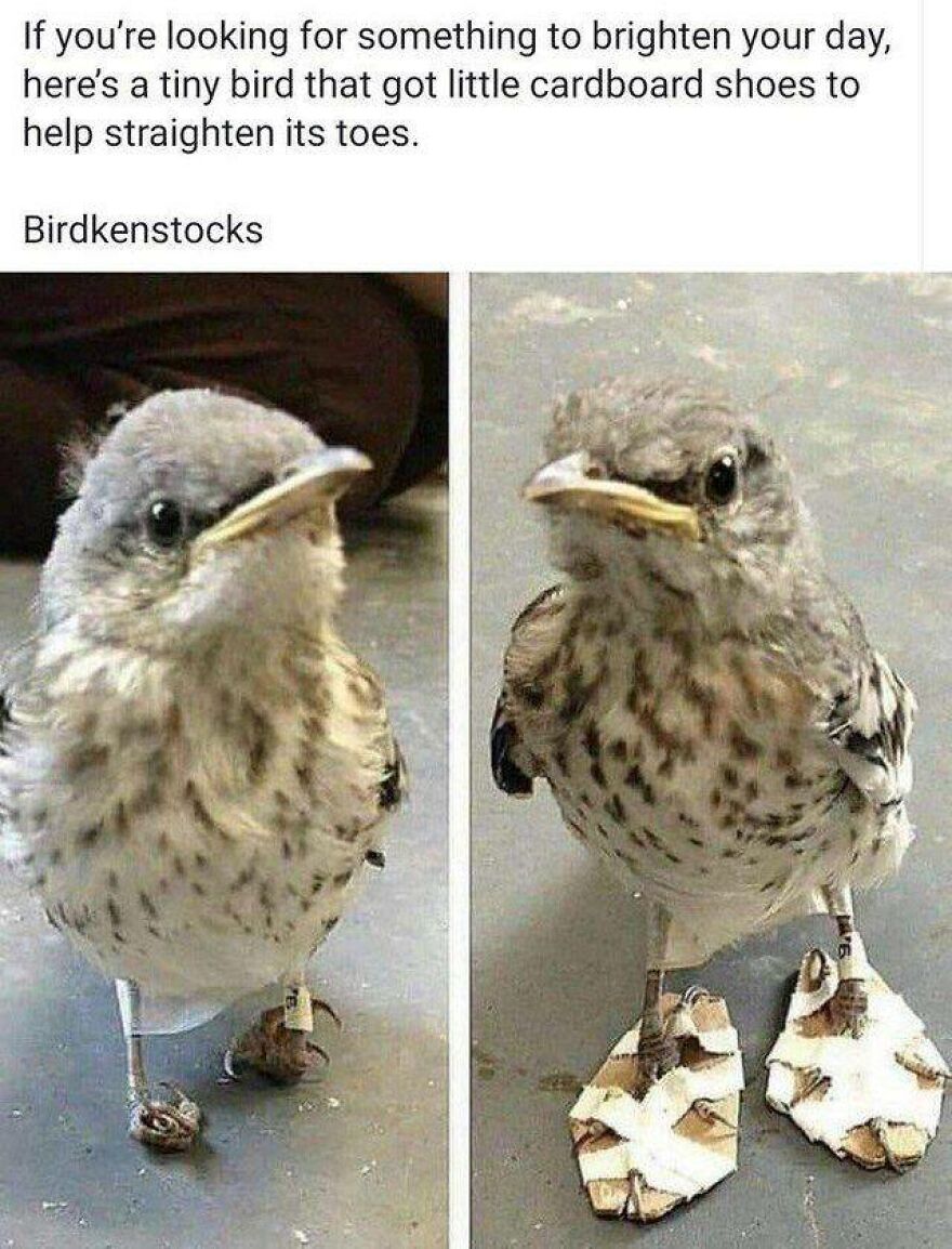 Things To Laugh At When You Are Trying To Be Serious In A Lecture Or Smthng