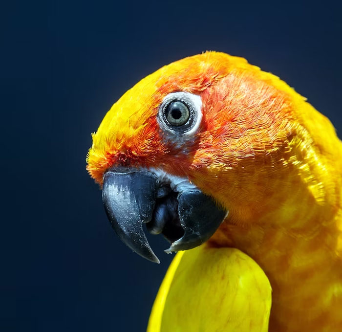 40 Owners Of Multiple Pets Share The Dramas They Get To Witness