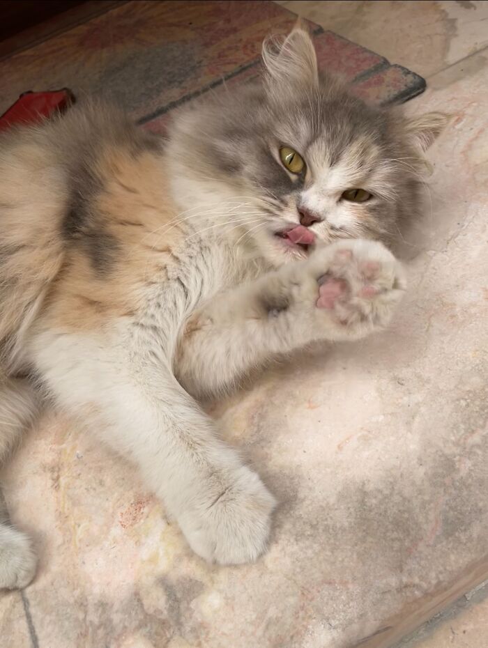 Chloe Posing In The Sunshine