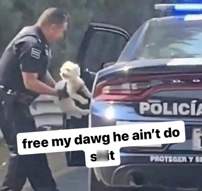 Hilarious-Memes-Twitter-Hourly