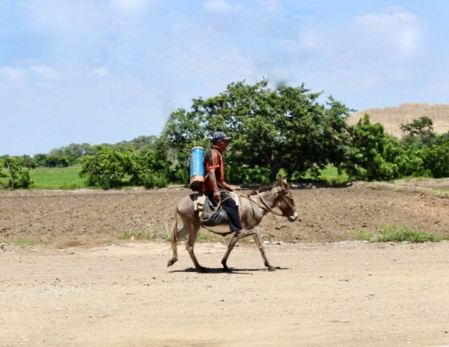I Photographed Tucume, Valley Of The Pyramids (40 Pics)