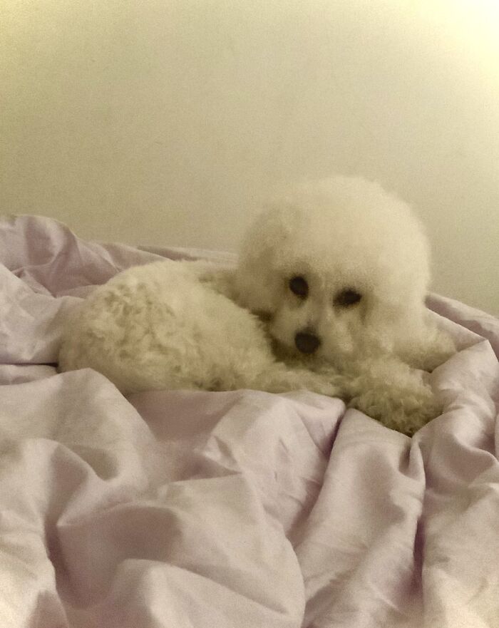 What If I Told You That This Is A Painting