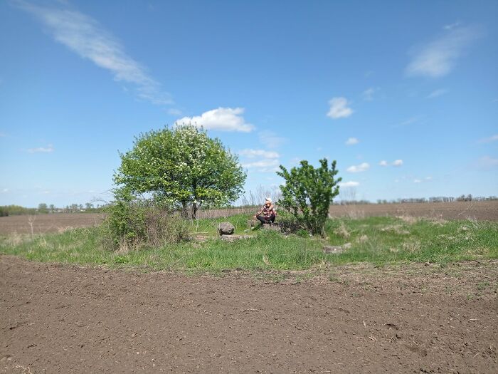 A Story About A Picture I Have Been Painting For Two Years