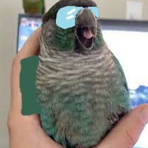 anthonysanchez_2 avatar