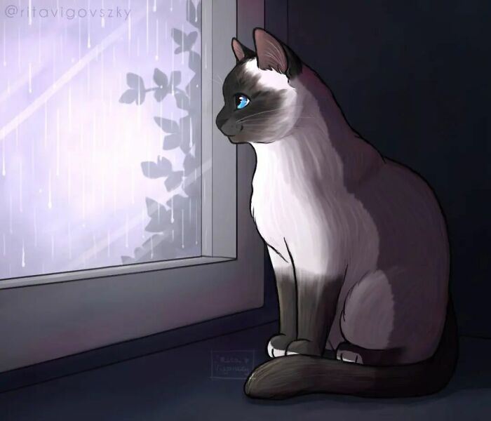 Artist Illustrates Everyday Life With A Cat In These New Relatable Comics