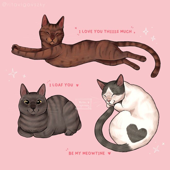 Artist Illustrates Everyday Life With A Cat In These New Relatable Comics