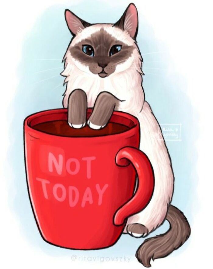 Artist Illustrates Everyday Life With A Cat In These New Relatable Comics