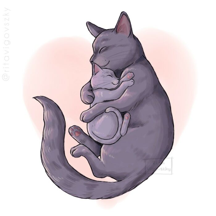 Artist Illustrates Everyday Life With A Cat In These New Relatable Comics