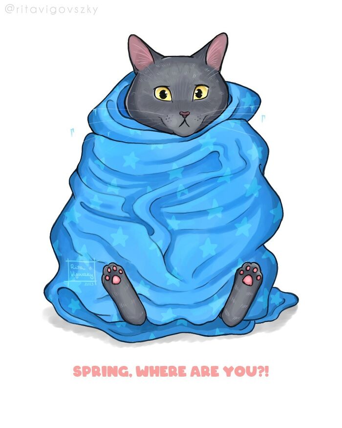 Artist Illustrates Everyday Life With A Cat In These New Relatable Comics