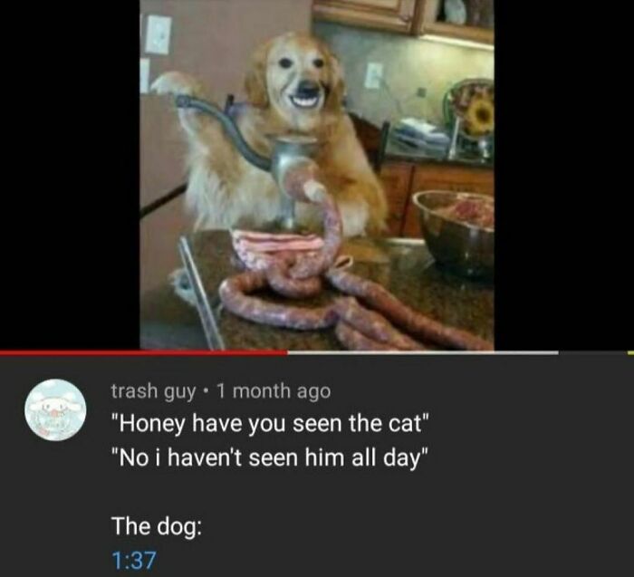 Dog Do Have Them Baby Whites Tho