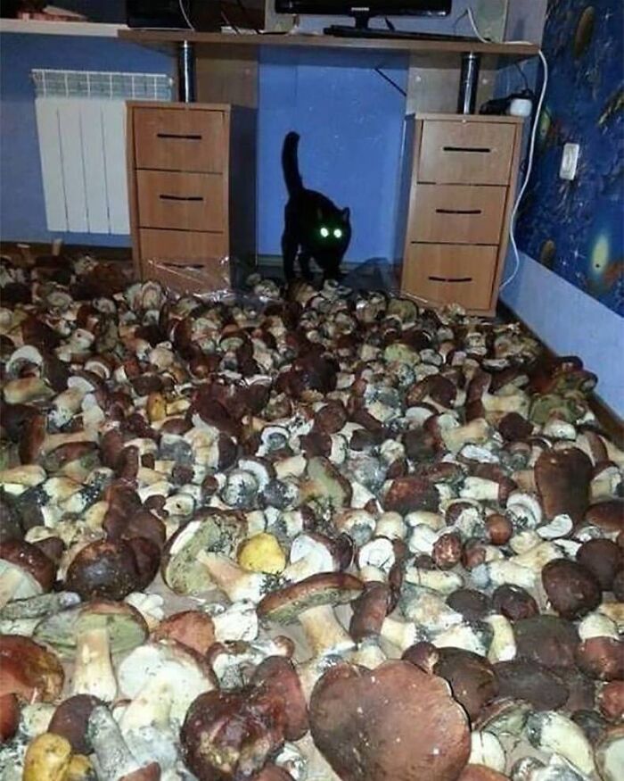 41 Cursed Images To Provide You Your Daily Dose Of Disturbing