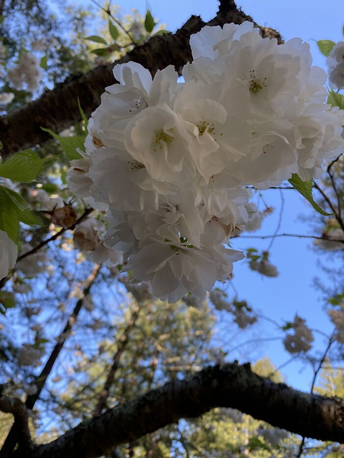 I Kind Of Laid Down On The Floor For This One