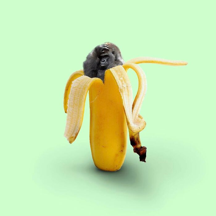 When Your Favorite Food Goes Missing