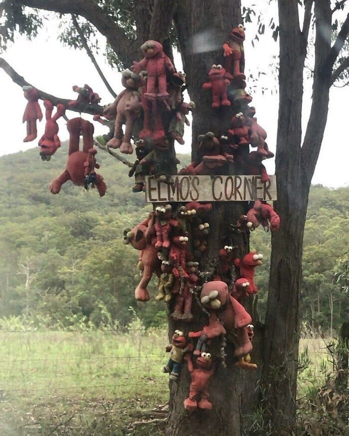 41 Cursed Images To Provide You Your Daily Dose Of Disturbing