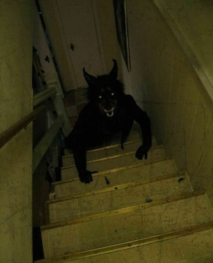 41 Cursed Images To Provide You Your Daily Dose Of Disturbing