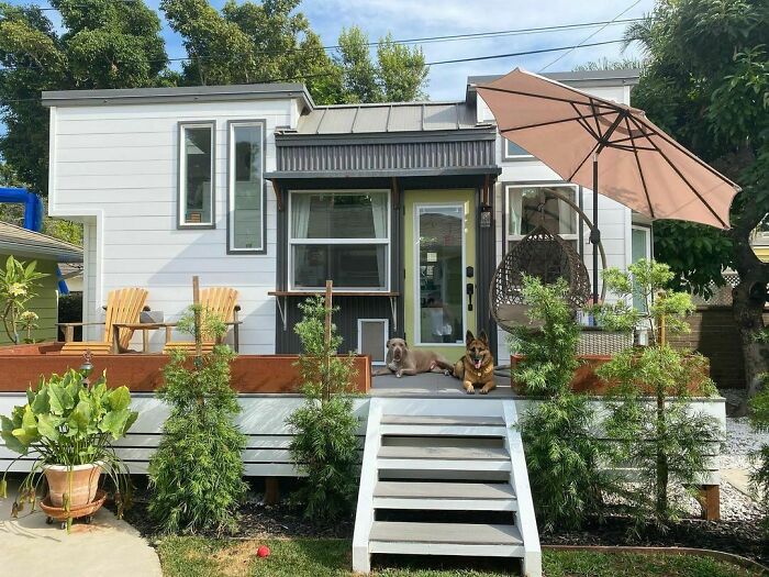 Charming tiny house with a cozy porch, plants, and two dogs lounging, highlighting modern design elements.