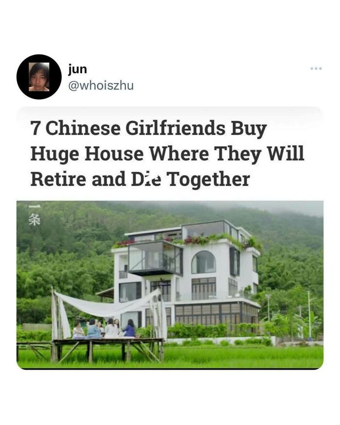 Funny-Memes-Falling-In-Society