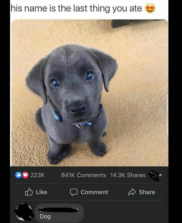 Weird-Cursed-Comments