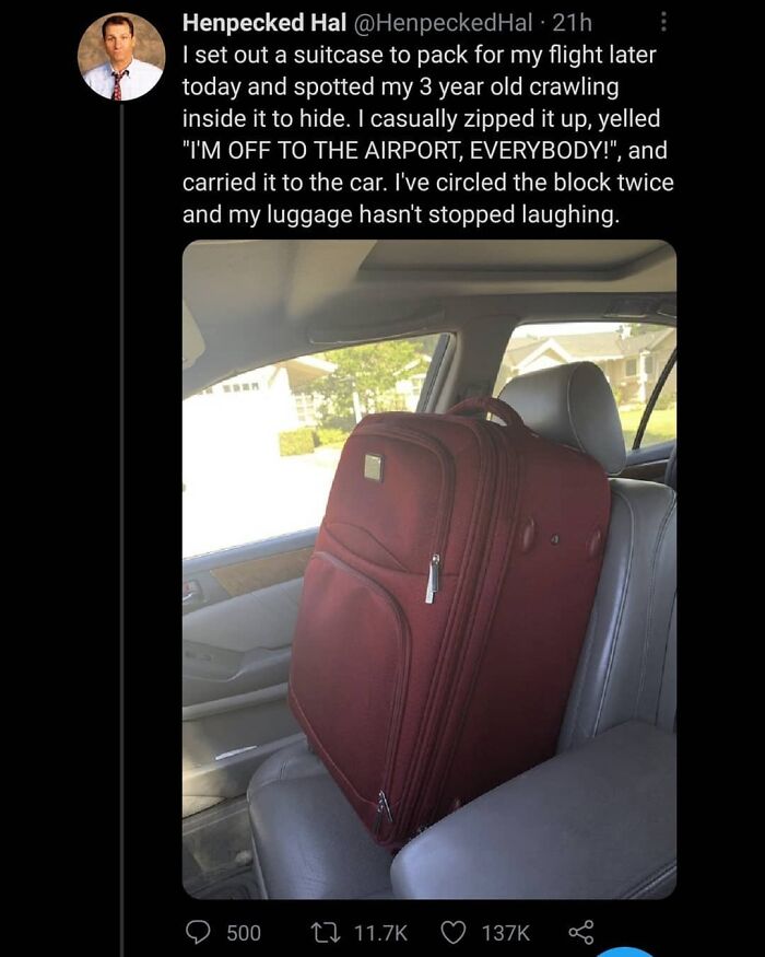 Funny-Memes-Falling-In-Society