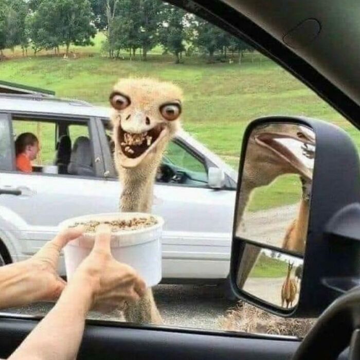 41 Cursed Images To Provide You Your Daily Dose Of Disturbing