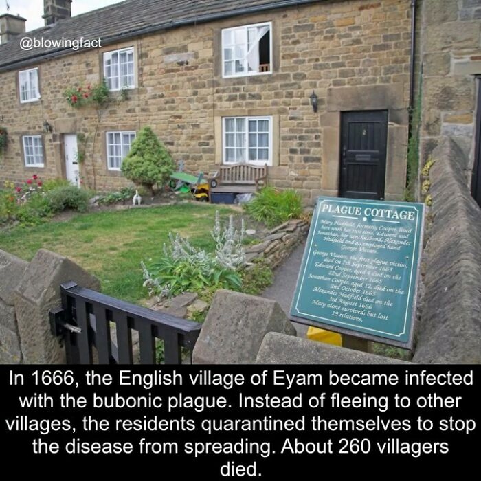 Blowing-Interesting-Facts-Pics