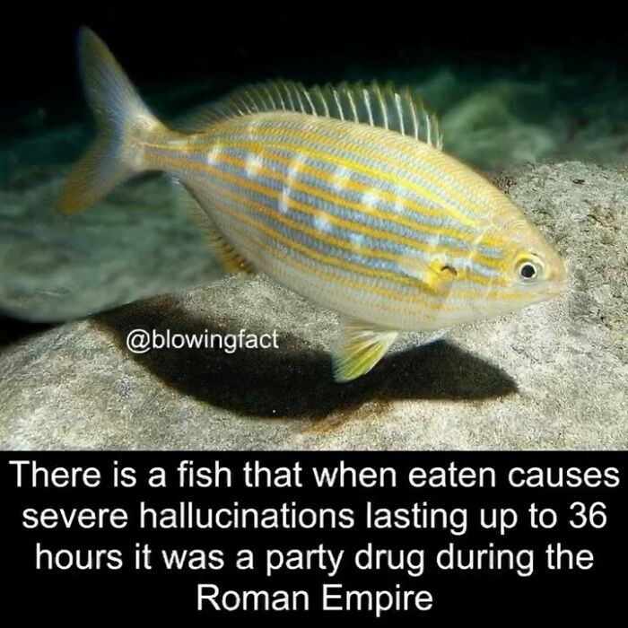 Blowing-Interesting-Facts-Pics