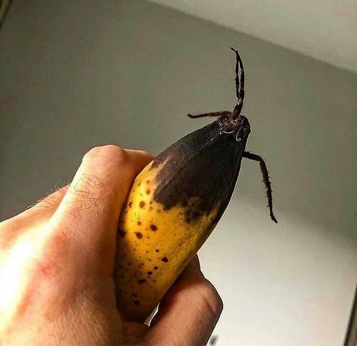 41 Cursed Images To Provide You Your Daily Dose Of Disturbing