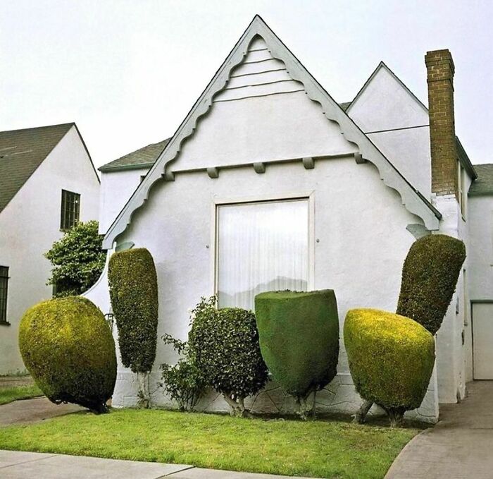 Strange Topiary. Like Green Popsicles