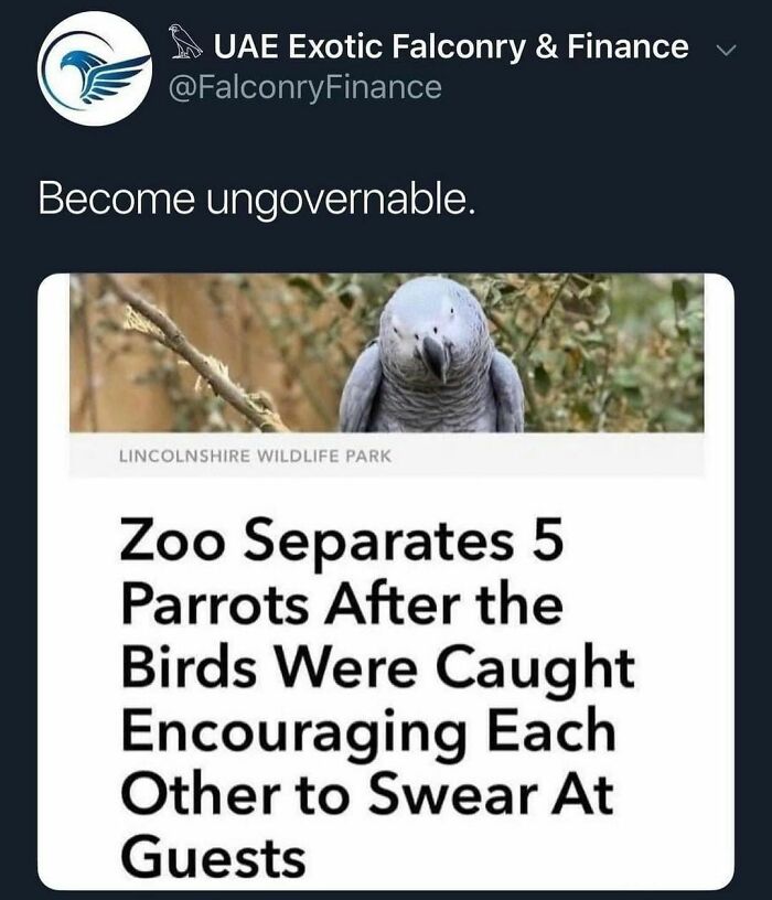 Ungovernable Girl Summer Is *on* @falconryfinance