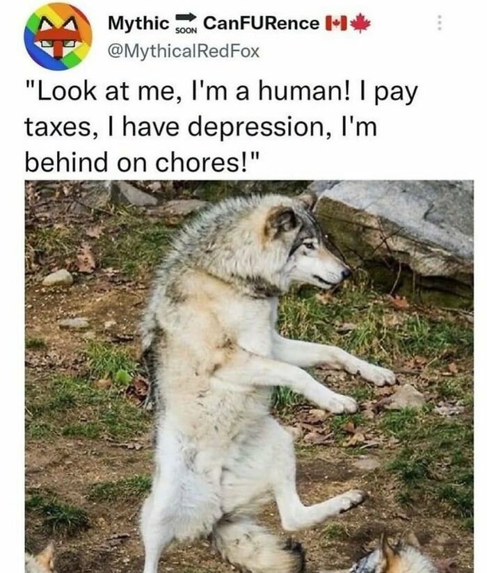 Human Larping For The Win 🙌 Twitter/ Mythicalredfox Via @aborteddreams