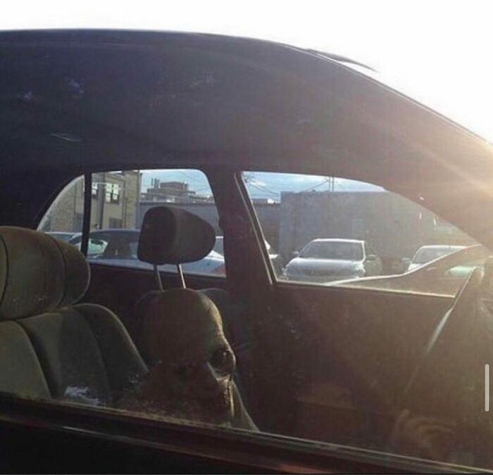 41 Cursed Images To Provide You Your Daily Dose Of Disturbing