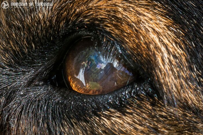 Cheeky Selfie With The Bride And Groom