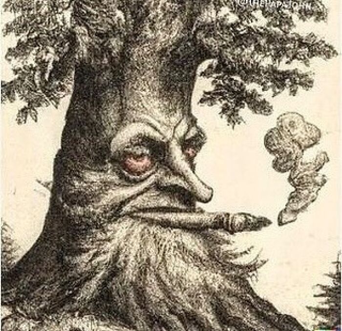 Could-Be-Album-Covers-Pics