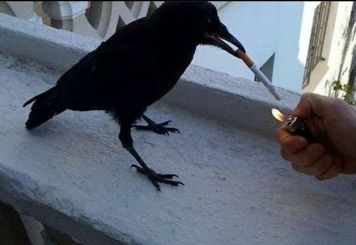 Could-Be-Album-Covers-Pics