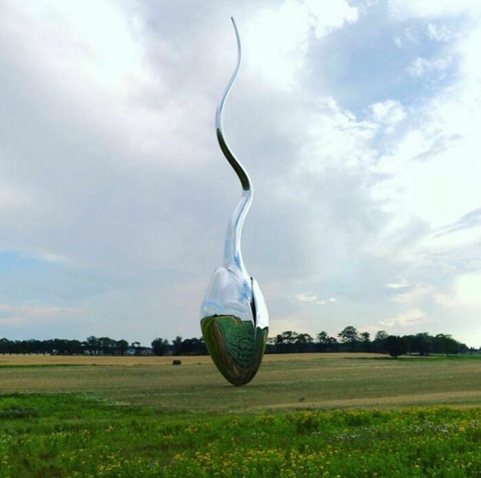 Could-Be-Album-Covers-Pics