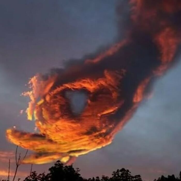 Could-Be-Album-Covers-Pics