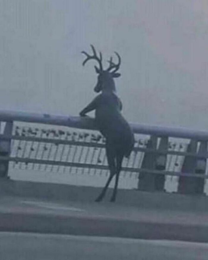 Could-Be-Album-Covers-Pics