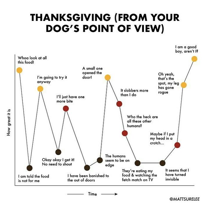 Let’s Watch The Fetch Match 🐶