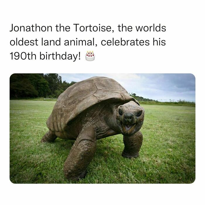 Wholesome-Memes-Hurtingsouls