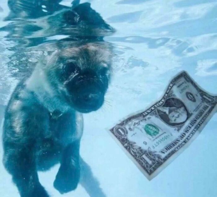 Could-Be-Album-Covers-Pics