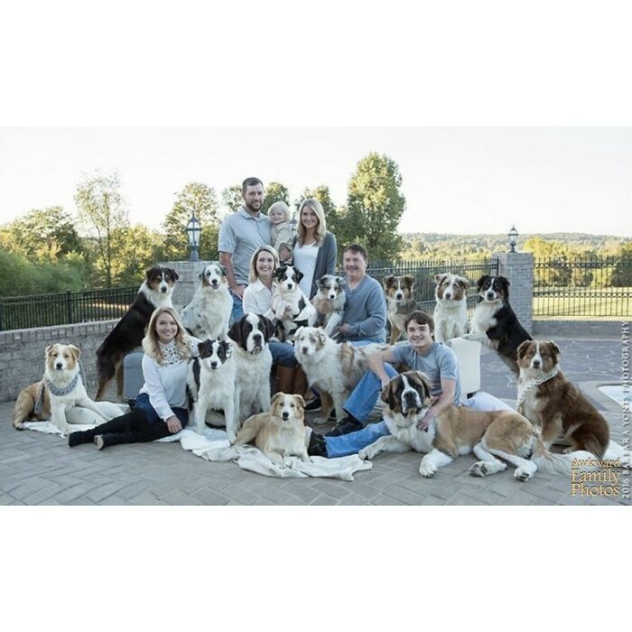 “One Pet Turned Into 14 Quickly. They’re Very Well Behaved, Which Is Our Saving Grace.”⁠ ⁠