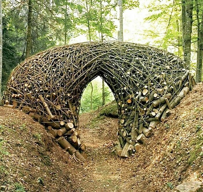 Branch Sculptures By Bob Verschueren