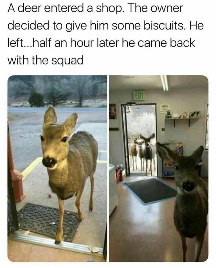 Wholesome-Memes-Hurtingsouls