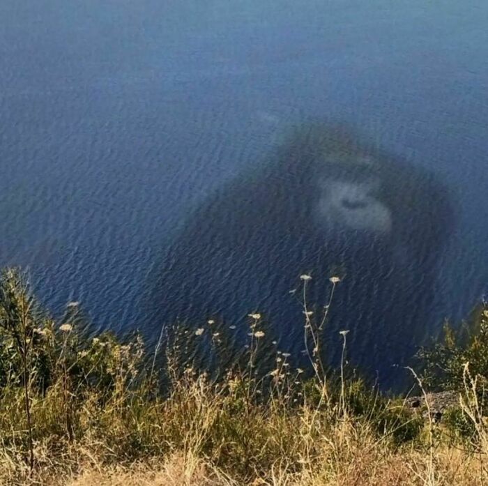 Could-Be-Album-Covers-Pics