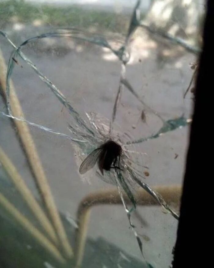 Could-Be-Album-Covers-Pics