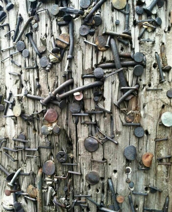 Unintentional Art. Telephone Poles That Served As Free Communal Advertising And Help Wanted Posts