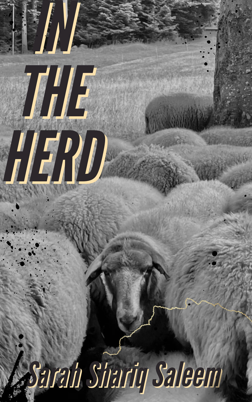 Cool Book Covers That I Designed